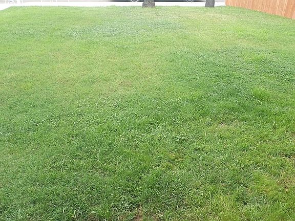 3rd image of 830 Myrna Dr