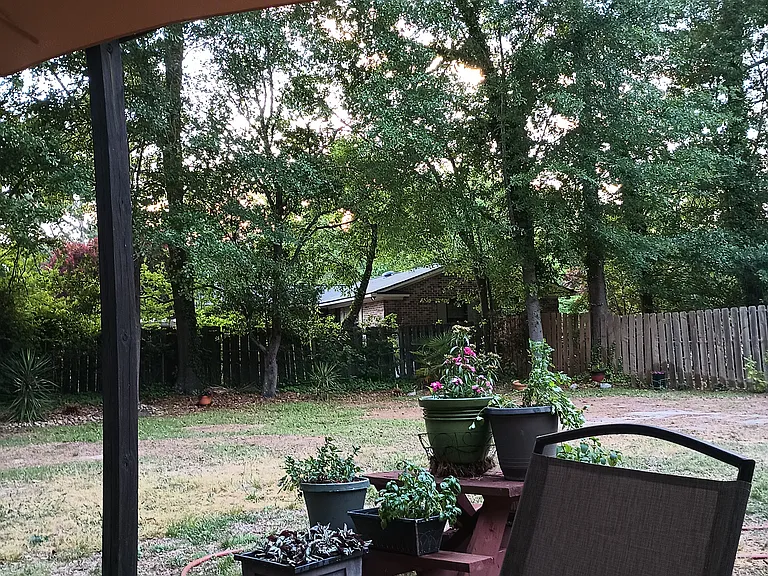 2233 Bracey Ave — Photo 3