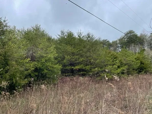 490 Templeton Rd, Rock Island, TN 38581