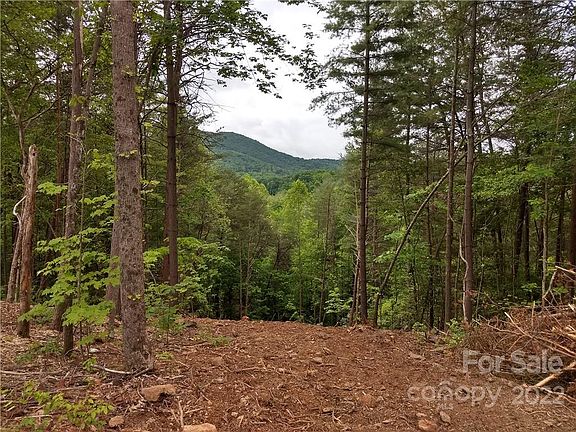 2nd image of 163 Riverbend Forest Dr #10