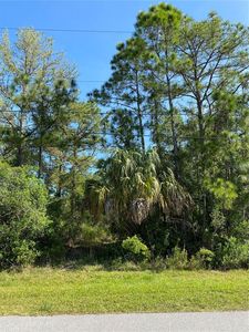 Sunburst Ave, North port, FL, 34286