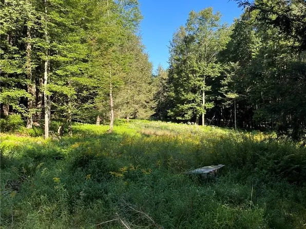 Best Road, Bethel, NY 12720