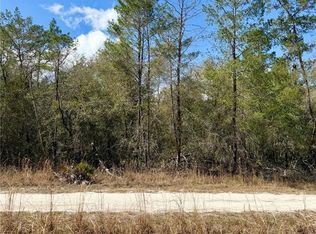 NE 110th Ct Lot 22, Fort Mc Coy, FL 32134
