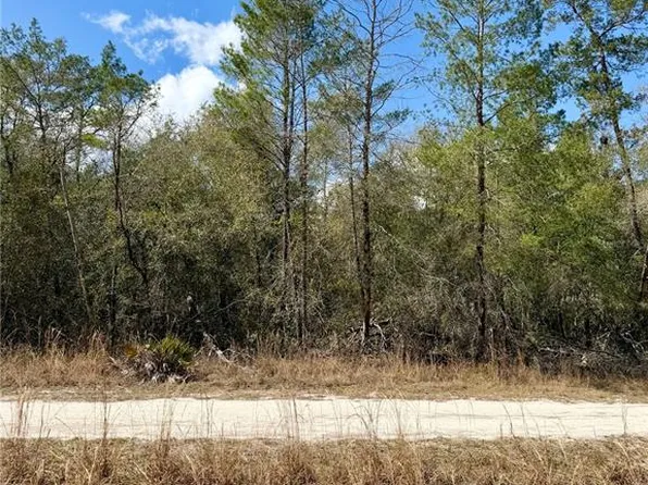NE 110th Ct Lot 22, Fort Mc Coy, FL 32134