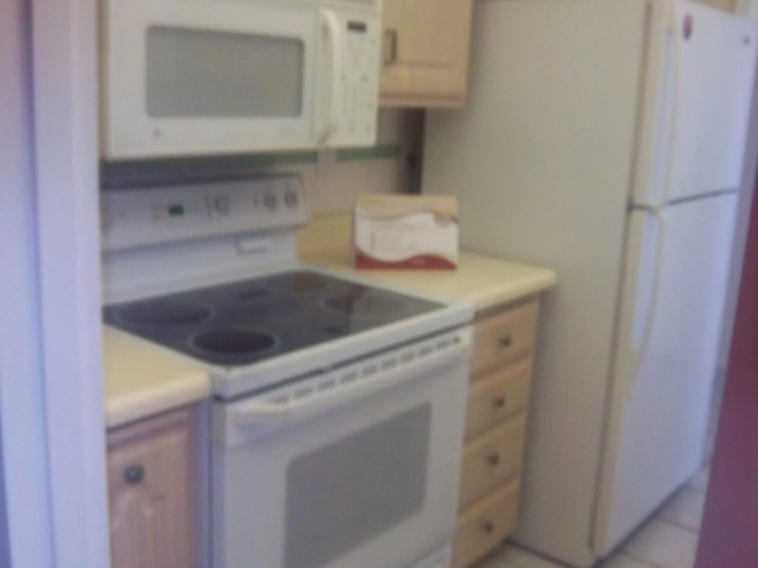 2 bed, 1174 sqft, $1,550 — Photo 3