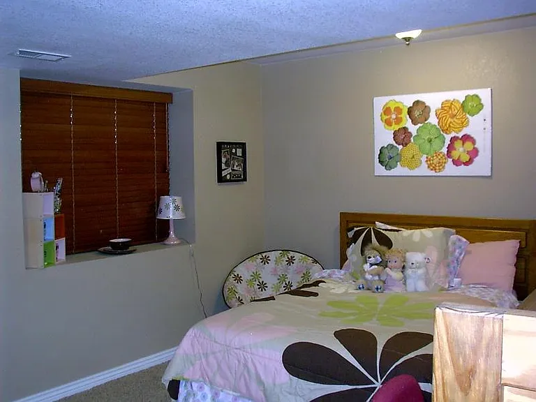 Downstairs Jr. Master Suite