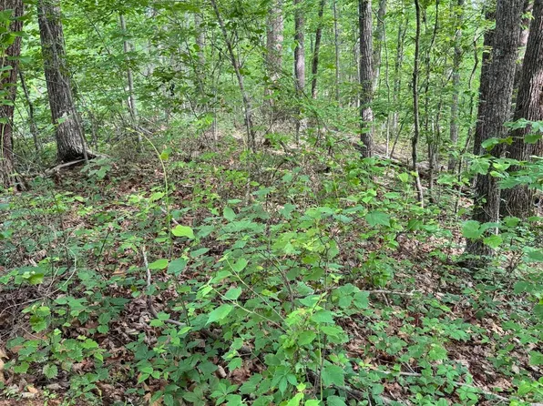 Prettiest Sunset Way Lot 5, Seymour, TN 37865