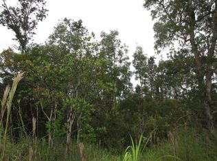 Uhini Ana Rd #1-LOT 2397, Mountain View, HI 96771