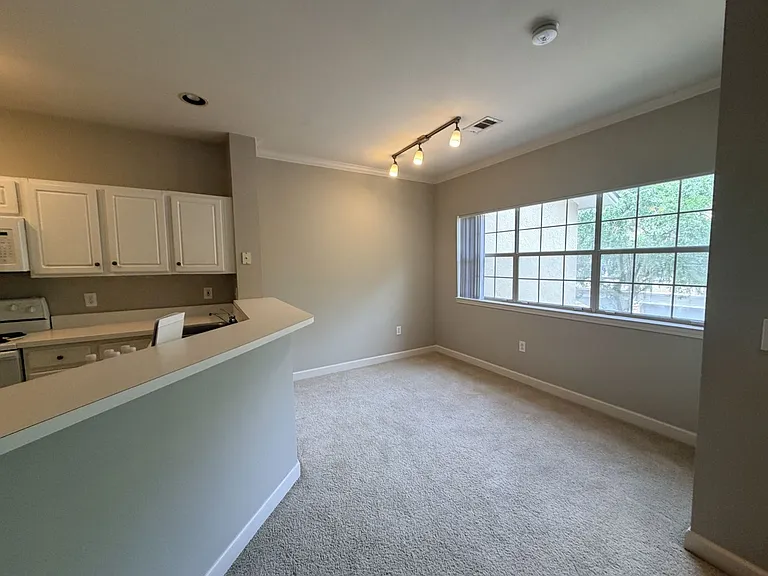 4 Indigo Run Dr #3711 — Photo 10