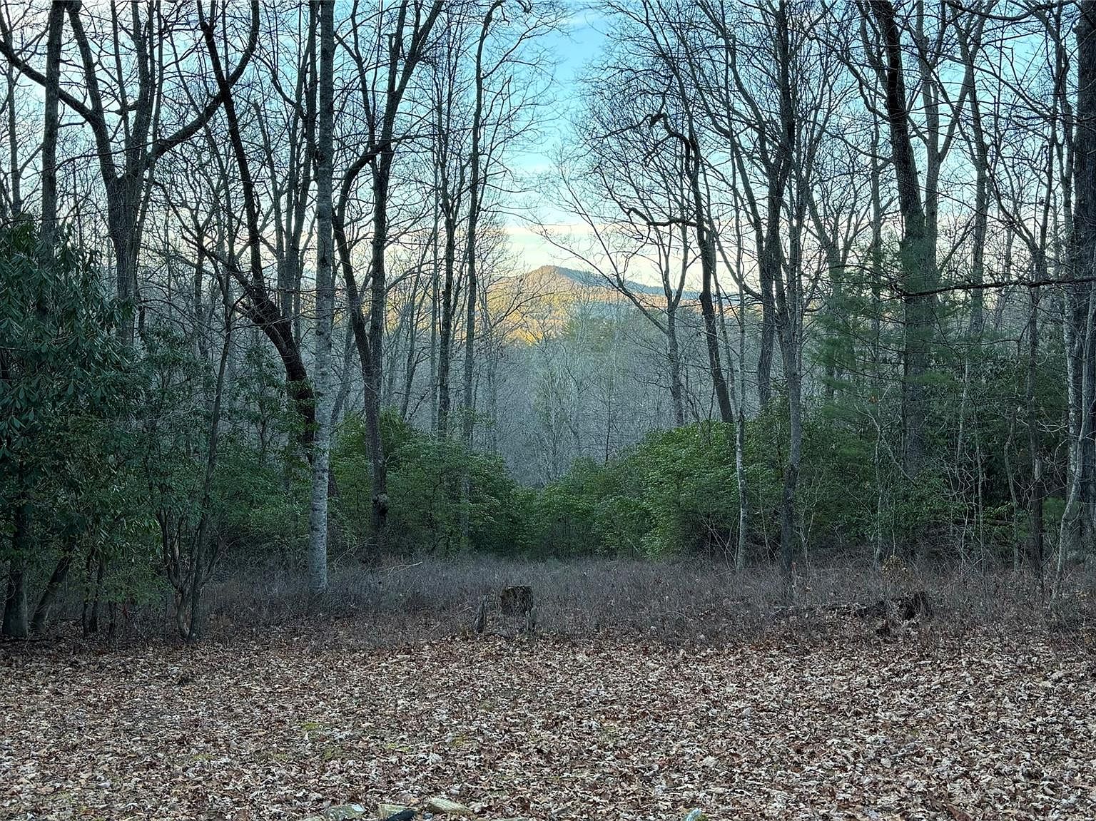 9999 Marshall Lake Rd, Cedar Mountain, NC 28718 MLS 4042883 Zillow