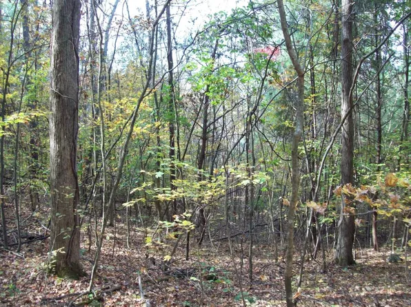 38 Co Rd, Riceville, TN 37370