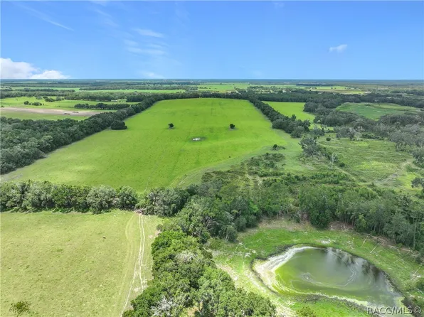 7352 SE 175th Ave, Morriston, FL 32668