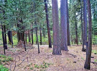1426 Lilac Dr, Arnold, CA