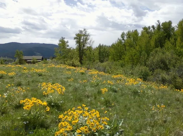 779 Cayuse Trl, Bozeman, MT 59718