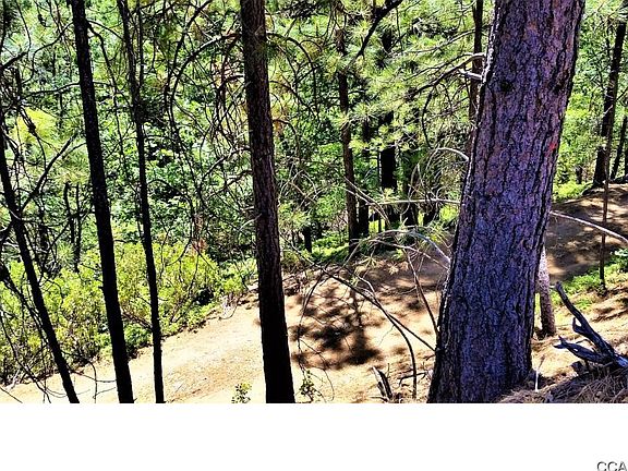 3rd image of 1743 Patricia Ln