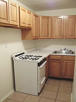 Rented by Saldo Properties | media 11