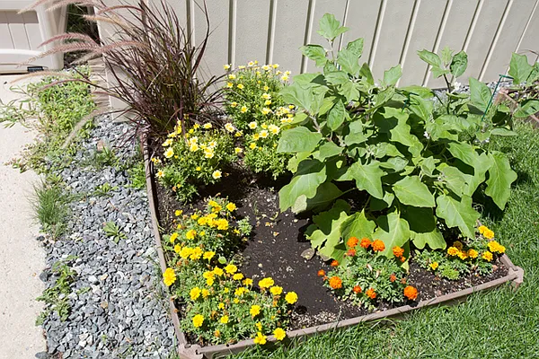 Sold by Dwelling Homes | media 37