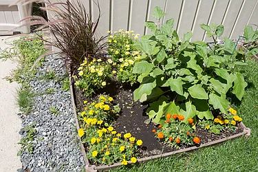 Sold by Dwelling Homes