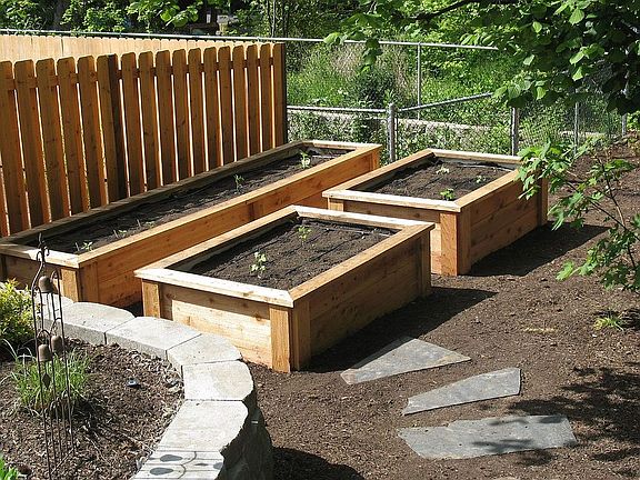 Raised garden boxes.