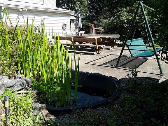 20190719_101218_resized