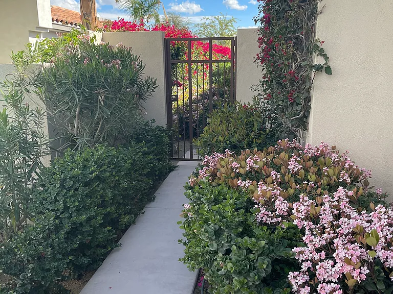 392 Desert Holly Dr — Photo 26