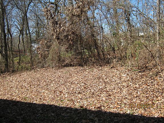 4th image of 1629 Banyan Ln
