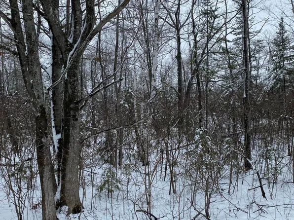 Highland Pines Rd, Presque Isle, MI 49777