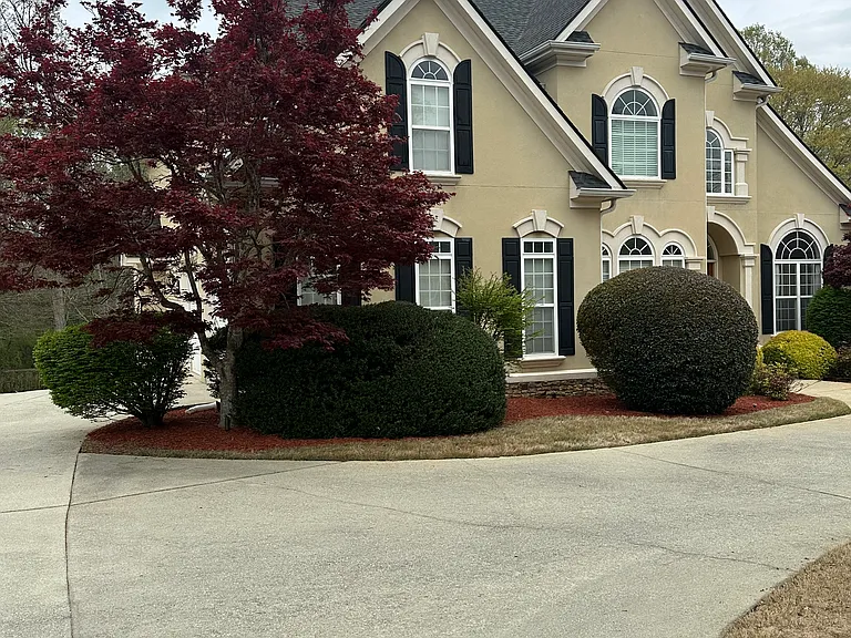 Front driveway