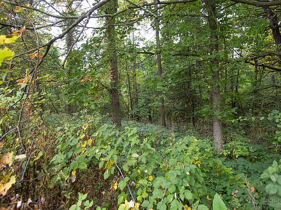 4th image of 16870 Stoney Creek Ct