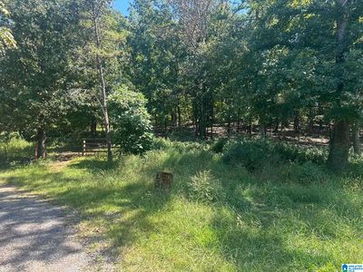 8 Blue Ridge Dr, Talladega, AL, 35160