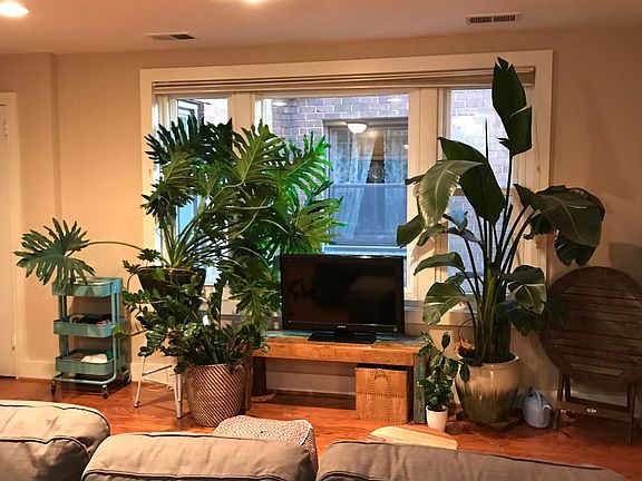 Natural light in living area