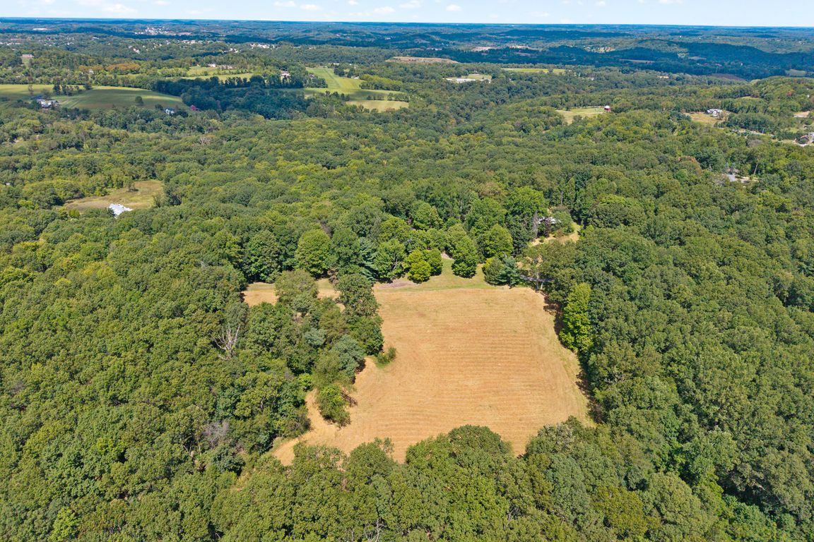 next background image