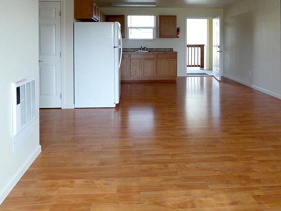 Living room and kitchen