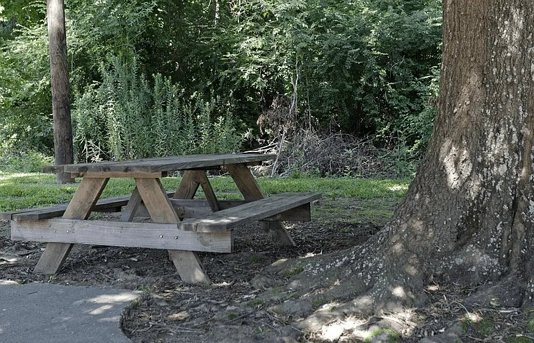 Shenandoah Bend — Photo 14