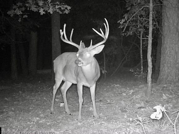2nd image of Williams Dr