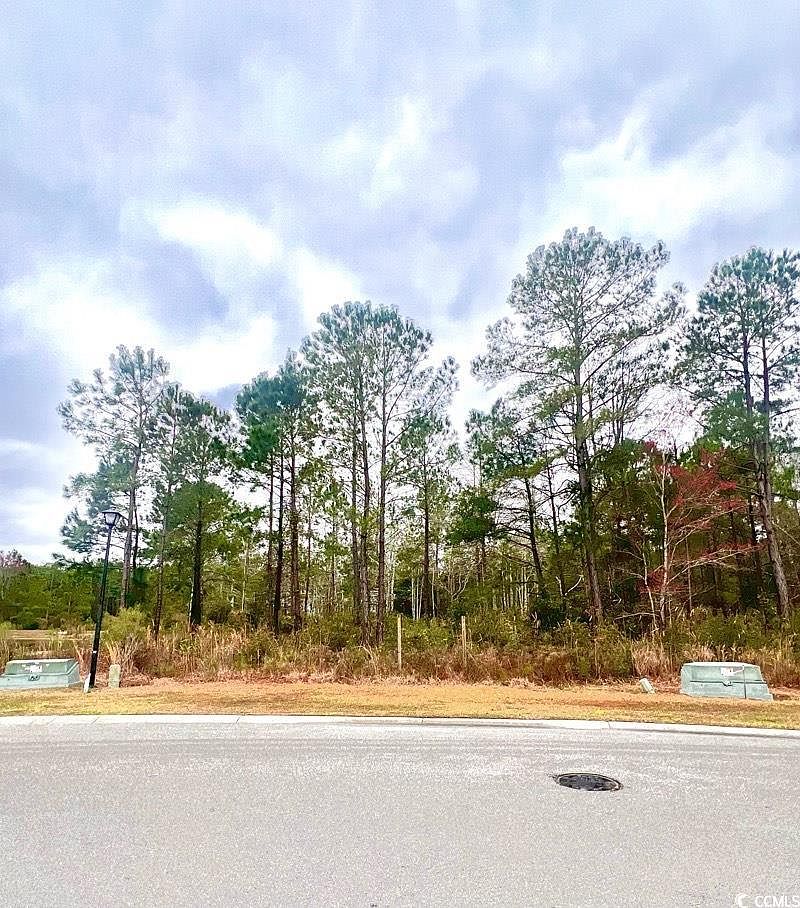 3041 New Castle Loop Lot 11 Queens Harbour, Myrtle Beach, SC 29588