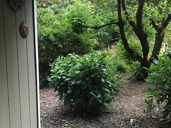 View from front porch