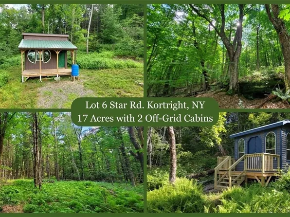 LOT 6 Star Rd Lot 6, Davenport, NY 13750