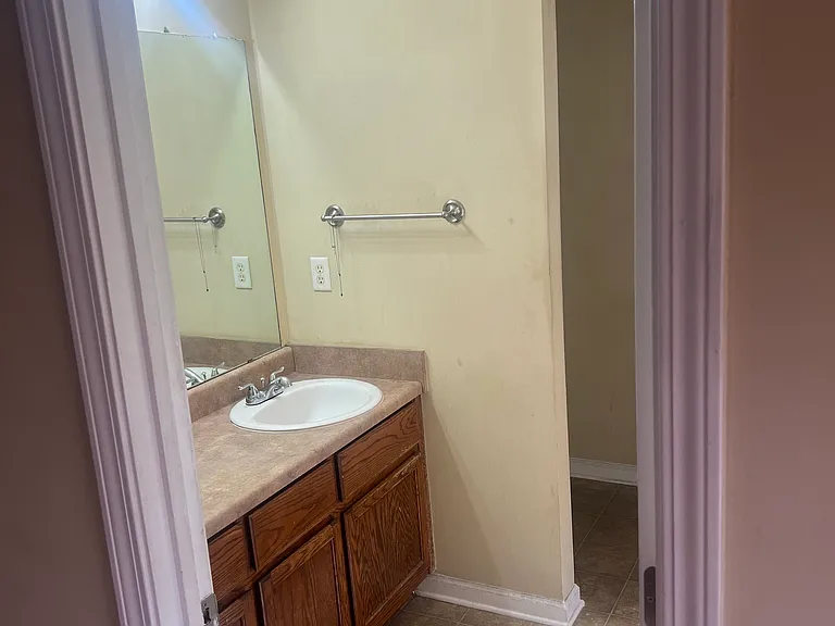 301 Vineyard Ridge Ln — Photo 11