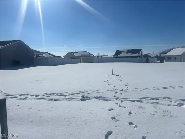 Waterfowl Ct, Wellington, OH 44090