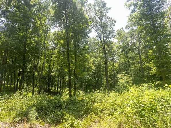 LOT 7 County Road 5, Calhoun, TN 37309