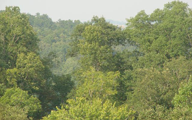 1st image of 19 Mystic Mountain Road LOT 19