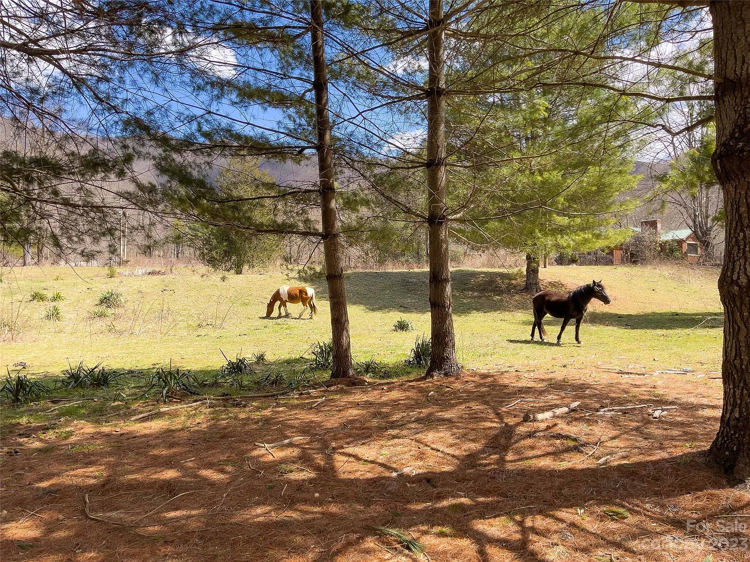 1001 Cattail Creek Rd, Burnsville, NC 28714 Zillow