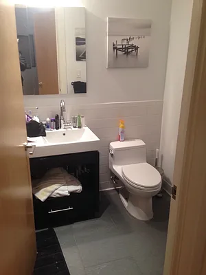 Rented by Nest Seekers International | media 33