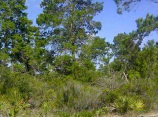 336 Homasassa Ave NE, Lake Placid, FL 33852