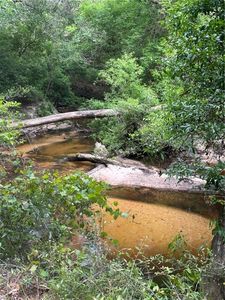 52116 Thigpen Rd, Franklinton, LA, 70438