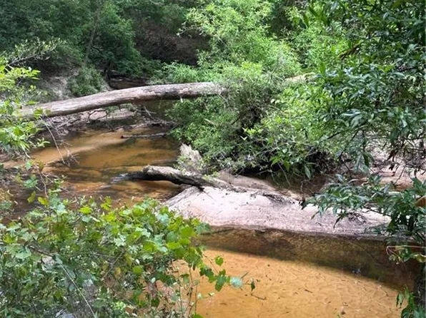 52116 Thigpen Rd, Franklinton, LA 70438