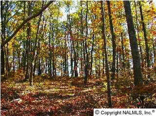 7 Blowing Cave Rd, Gurley, AL 35748