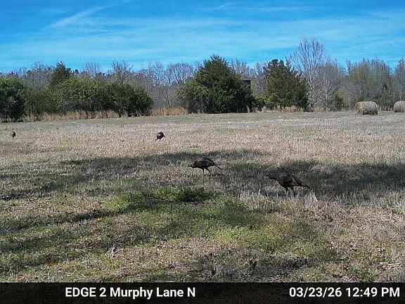4th image of 980 Murphy Ln