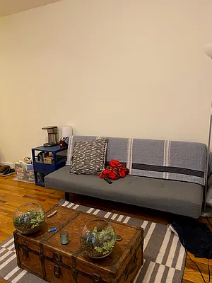 Rented by Manhattan Dwelling Corporation | media 3